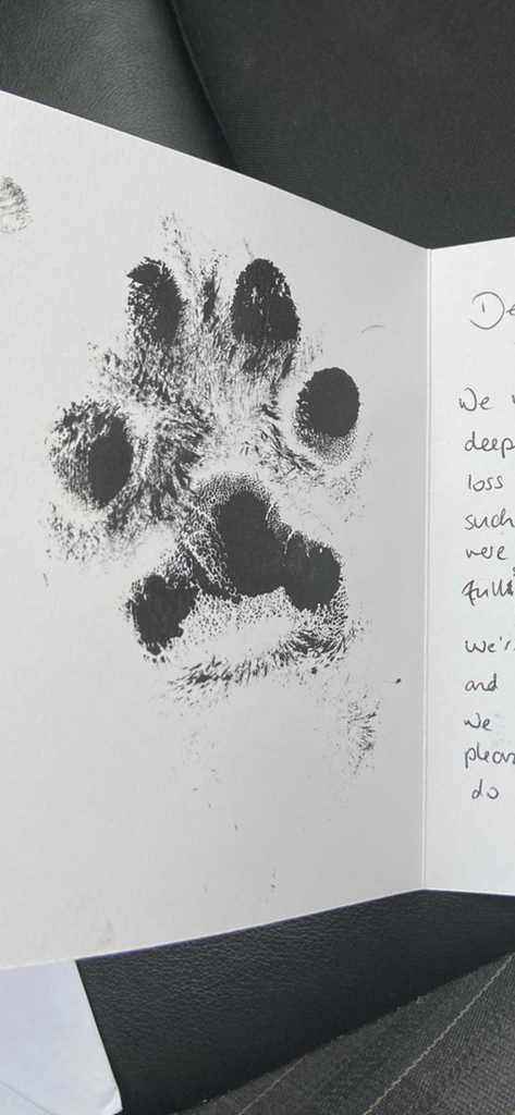 Paws from the Heart. - www.sparklingjewellery.com