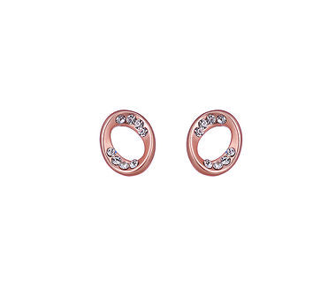 Matt Oval Stud Earrings - www.sparklingjewellery.com